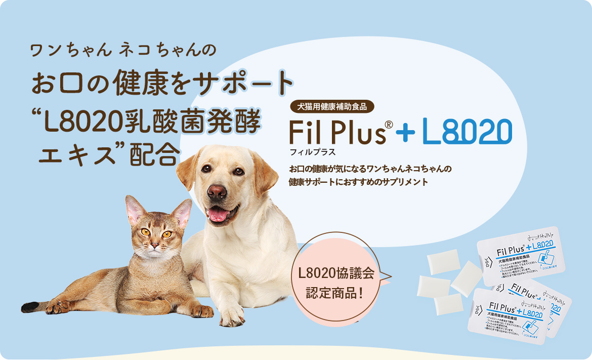 Fil Plus L80 ヒューペルオンラインショップ